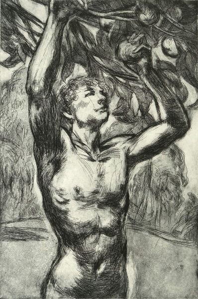 -Die verbotenen Fruechte-  etching and hand made print by  Martin Stommel 42 x 30 cm 2021  edition: 25 The prints are presented in two different handmade  boxes, the box „Adam“ contains 3 etchings with a portrait of biblical Adam, each box is 44 x 32,5 cm