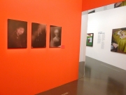 "Paparazzi!, Photographers, Stars and Artists", Centre Pompidou Metz, 2014, work: Star Shots I, II and III and 2 Magazines
