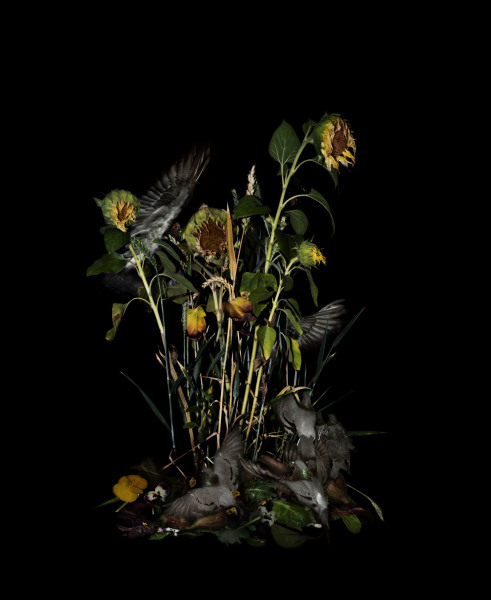 „Richard-Wagner-Platz 51, North Side Balcony“ 2026, 100 x 180 cm, Pigment print on 100 % cotton canvas, 360 gsm, Edition 1 of 10