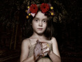 "Is the bird dead?" (Hope series) Fine Art Print on Alu Dibond, Diasec 120x120cm 2008 Edition of 3