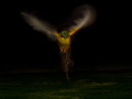 Night Flight 2014, 100 x 80 cm, Fine Art Print print mounted on Alu Dibond, Edition 5 of 15