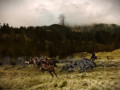A SUNDAY in GERMANY™ 2026, 120 x 180 cm, Pigment print on 100 % cotton canvas, 360 gsm, Edition 1 of 10